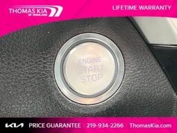 
										Kia Telluride full									