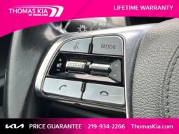 
										Kia Telluride full									
