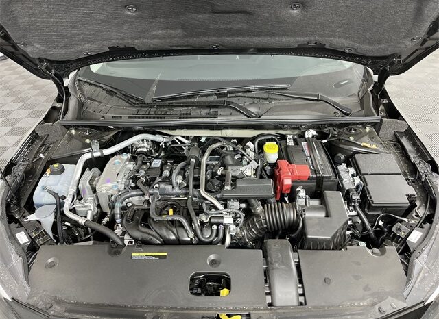 
 Nissan Sentra full									