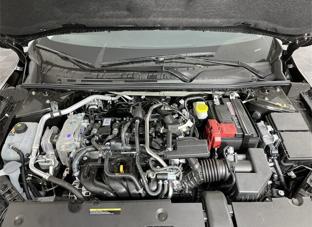 
 Nissan Sentra full									