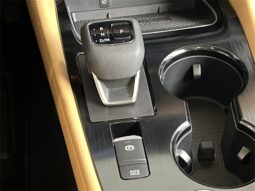 
										Nissan Rogue full									