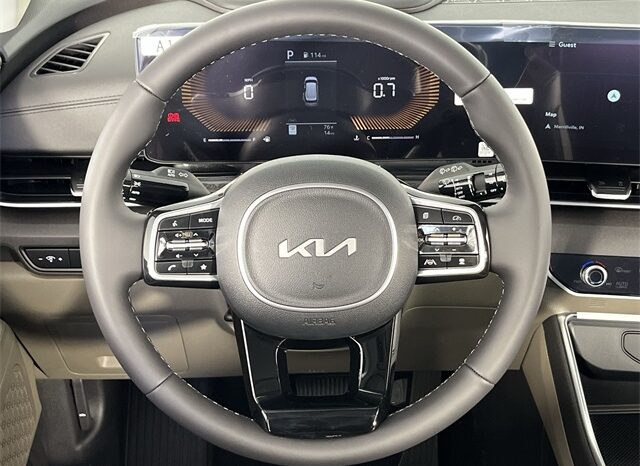 
								Kia Carnival full									