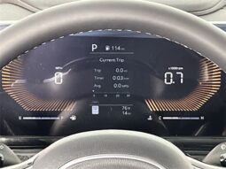 
										Kia Carnival full									
