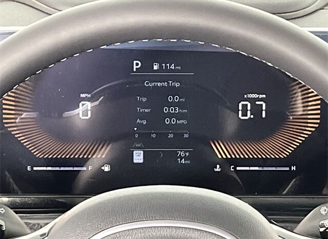 
								Kia Carnival full									