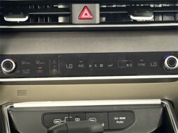 
										Kia Carnival full									