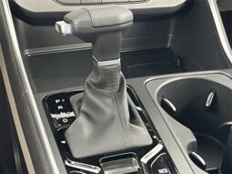 
										Kia Carnival full									