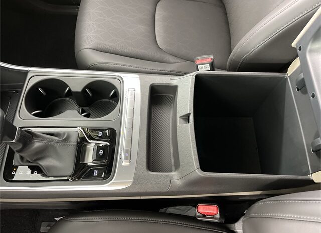 
								Kia Carnival full									