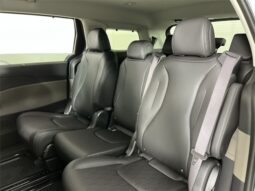 
										Kia Carnival full									
