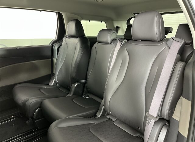 
								Kia Carnival full									