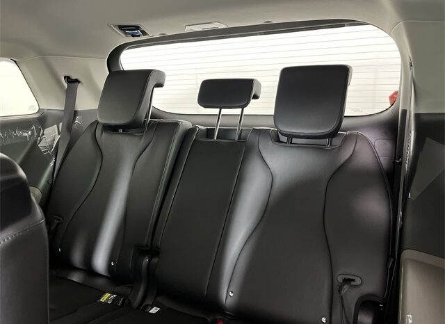 
								Kia Carnival full									