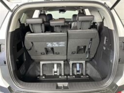 
										Kia Carnival full									