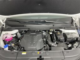 
										Kia Carnival full									