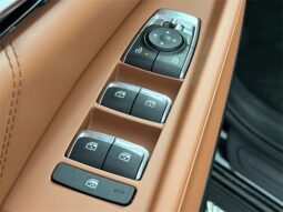
										Kia Carnival Hybrid full									