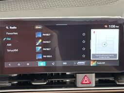 
										Kia Carnival Hybrid full									