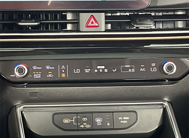 
								Kia Carnival Hybrid full									