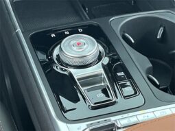
										Kia Carnival Hybrid full									
