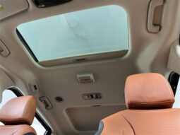 
										Kia Carnival Hybrid full									
