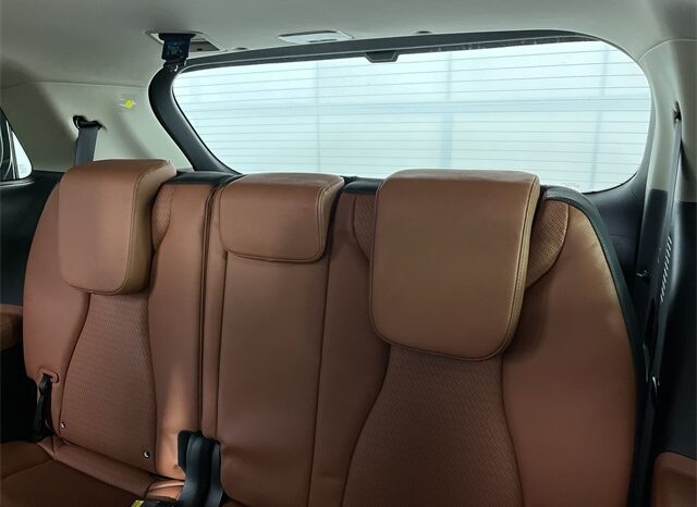 
								Kia Carnival Hybrid full									