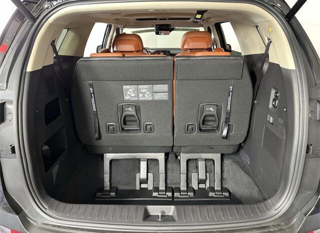 
								Kia Carnival Hybrid full									