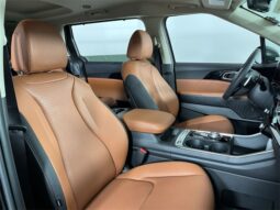 
										Kia Carnival Hybrid full									