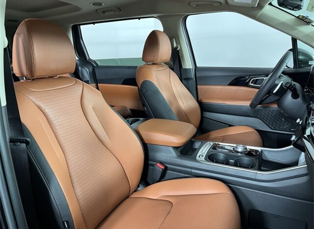 
								Kia Carnival Hybrid full									
