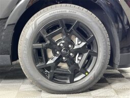 
										Kia Carnival Hybrid full									