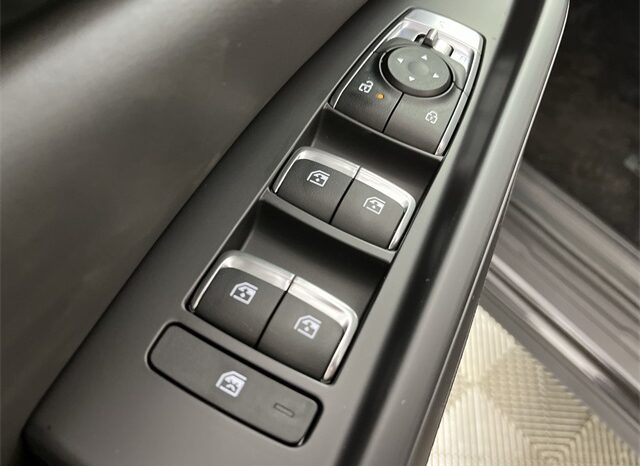 
 Kia Carnival full									
