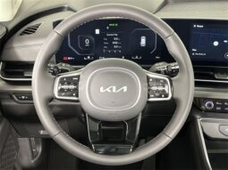 
 Kia Carnival full									