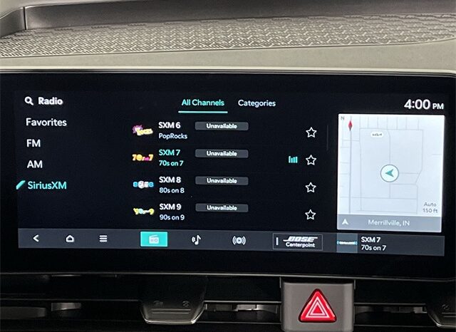 
 Kia Carnival full									