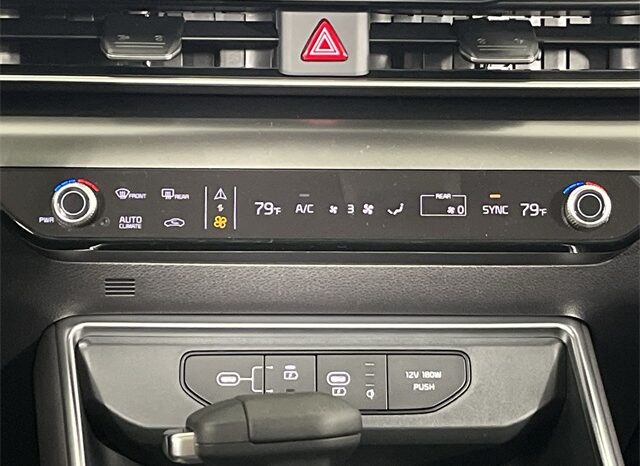 
 Kia Carnival full									