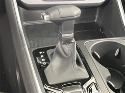 
 Kia Carnival full									