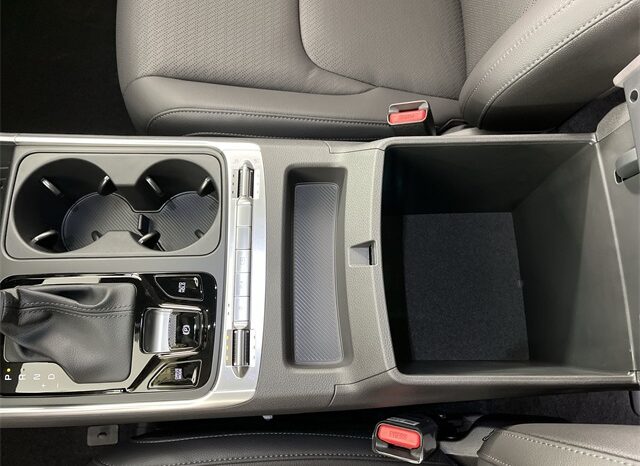 
 Kia Carnival full									
