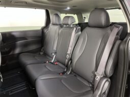 
 Kia Carnival full									