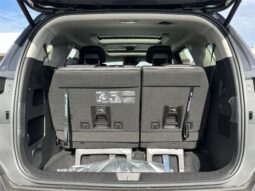 
 Kia Carnival full									