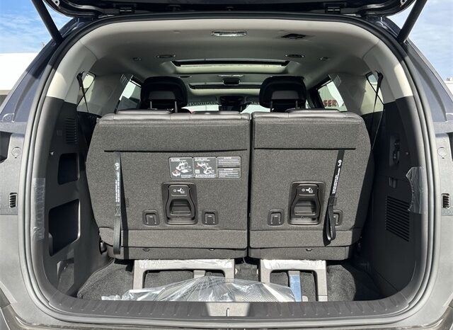 
 Kia Carnival full									