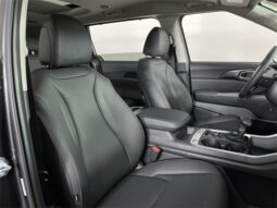 
 Kia Carnival full									