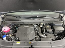 
 Kia Carnival full									