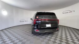 
 Kia Carnival full									
