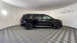 
 Kia Carnival full									