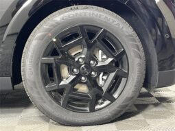 
 Kia Carnival full									