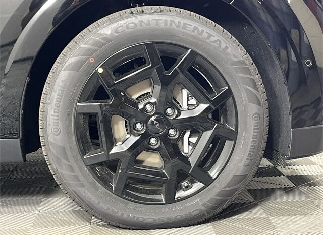 
 Kia Carnival full									