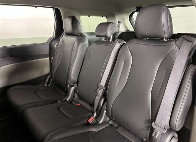 
 Kia Carnival full									