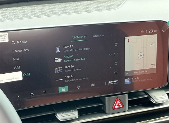 
								Kia Carnival Hybrid full									