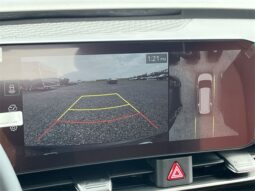 
										Kia Carnival Hybrid full									