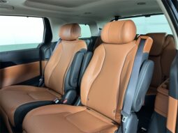 
										Kia Carnival Hybrid full									