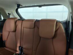 
										Kia Carnival Hybrid full									