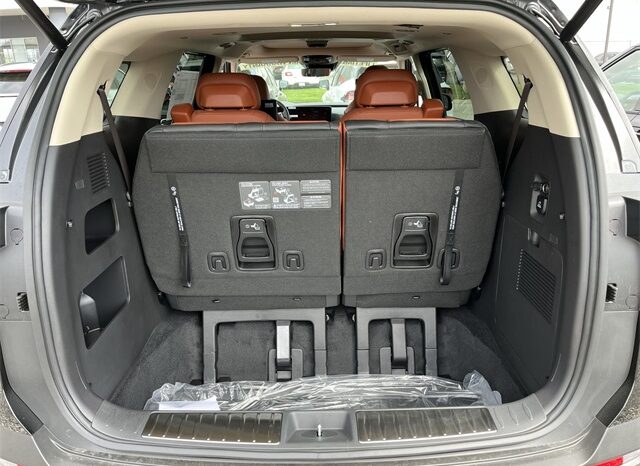 
								Kia Carnival Hybrid full									