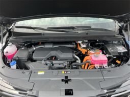 
										Kia Carnival Hybrid full									