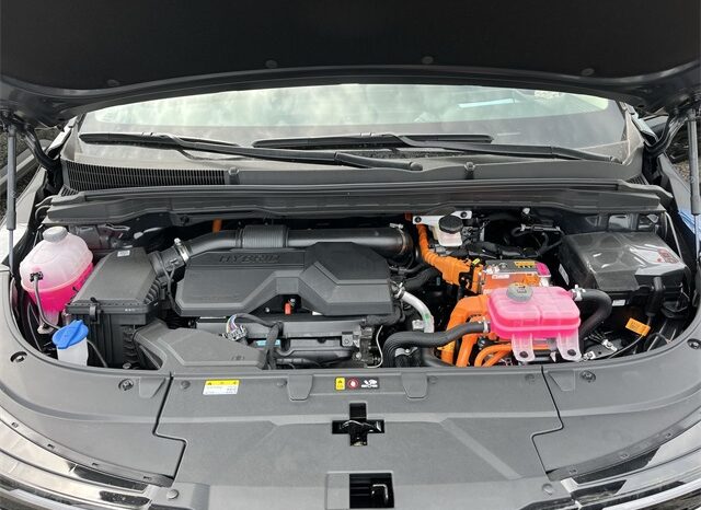 
								Kia Carnival Hybrid full									