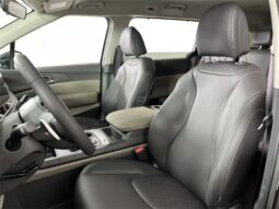 
 Kia Carnival Hybrid full									